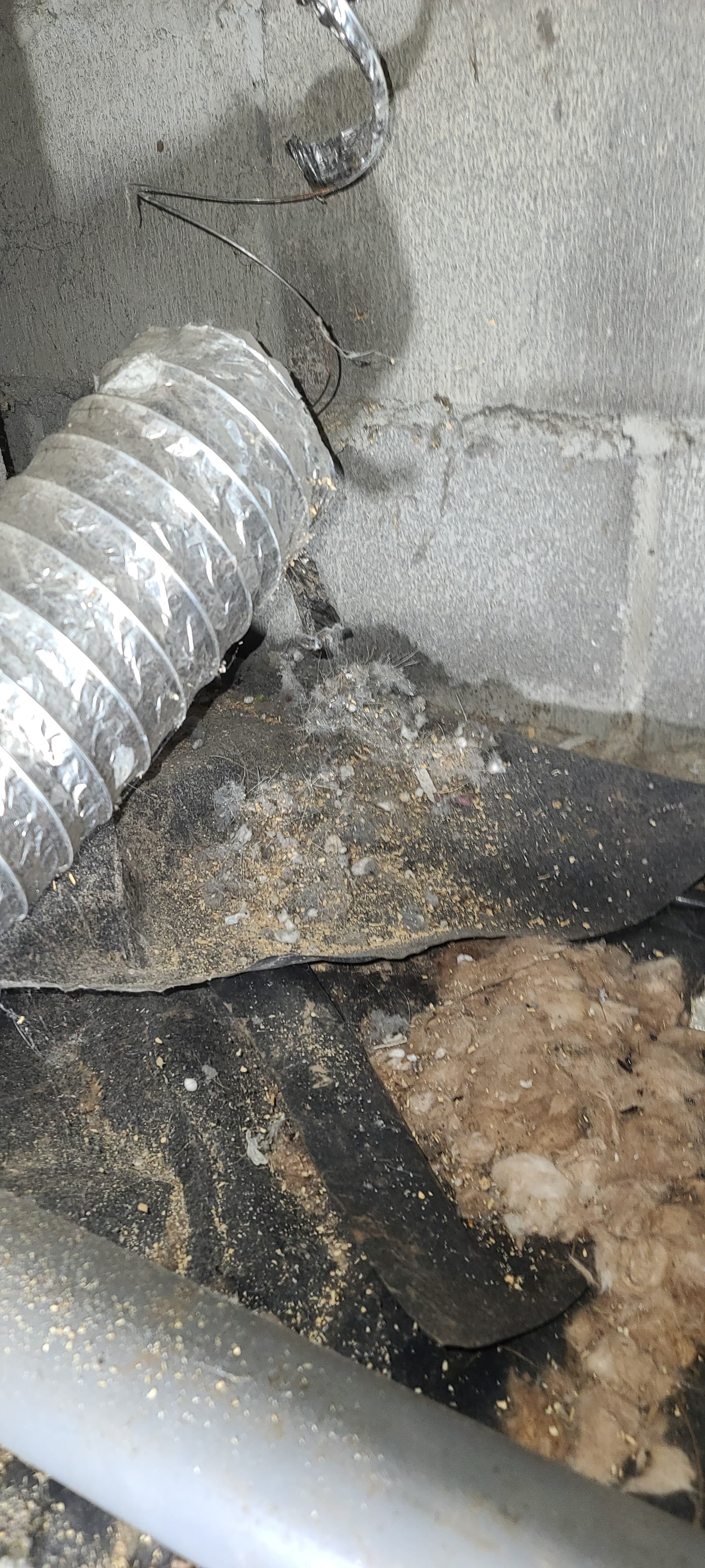 Heavy dust inside air duct before cleaning - Portland OR