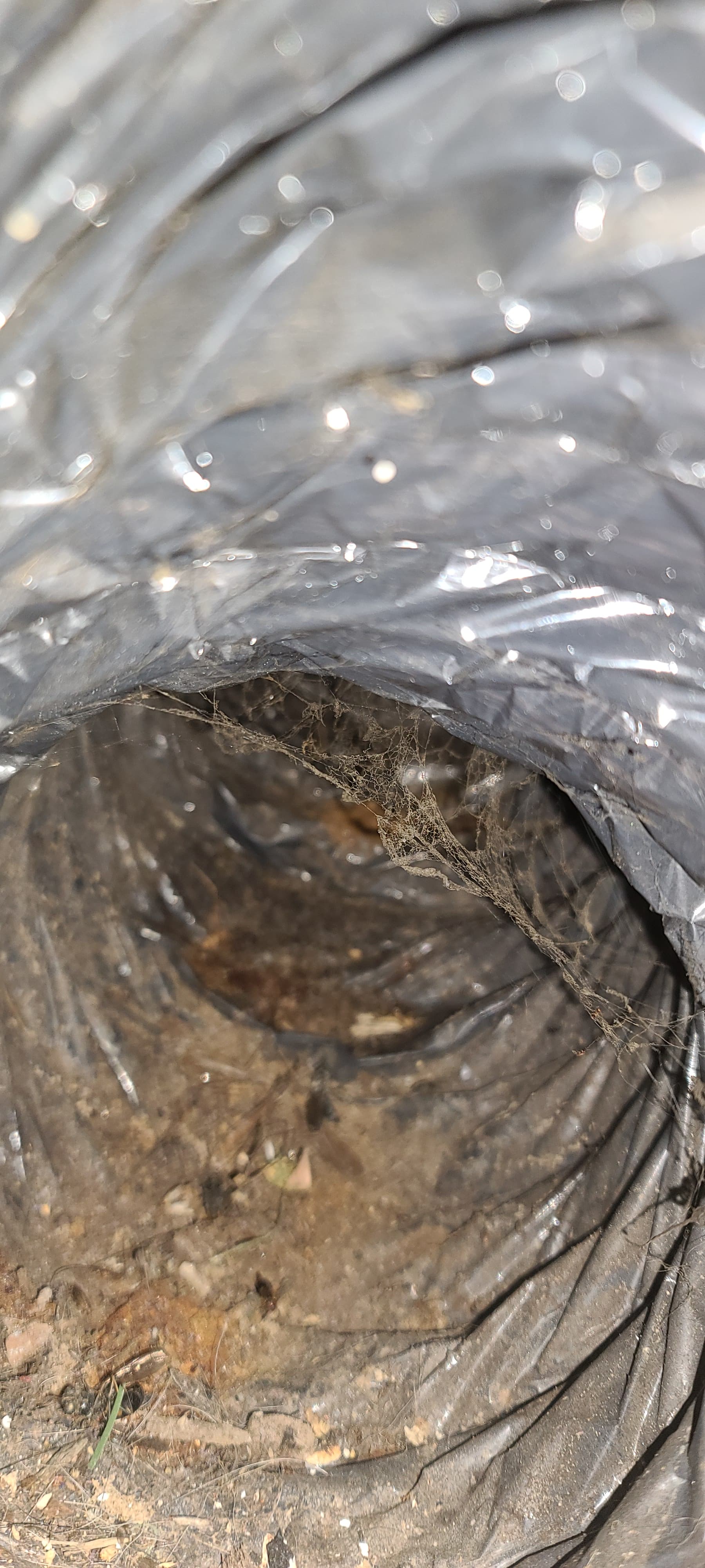 Supply register clogged with dust and debris - Lake Oswego OR